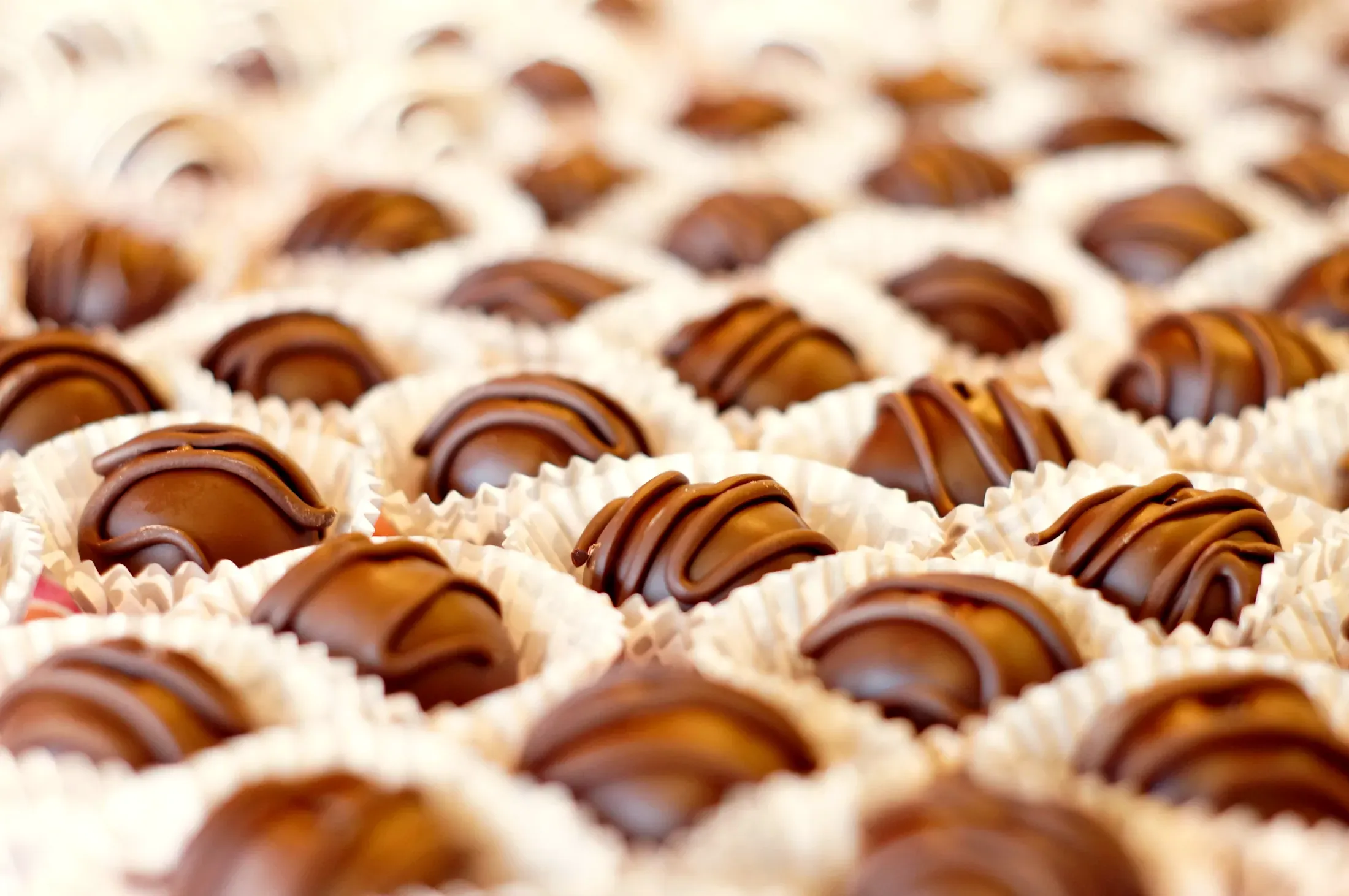 Praline al cioccolato nei pirottini, in fila