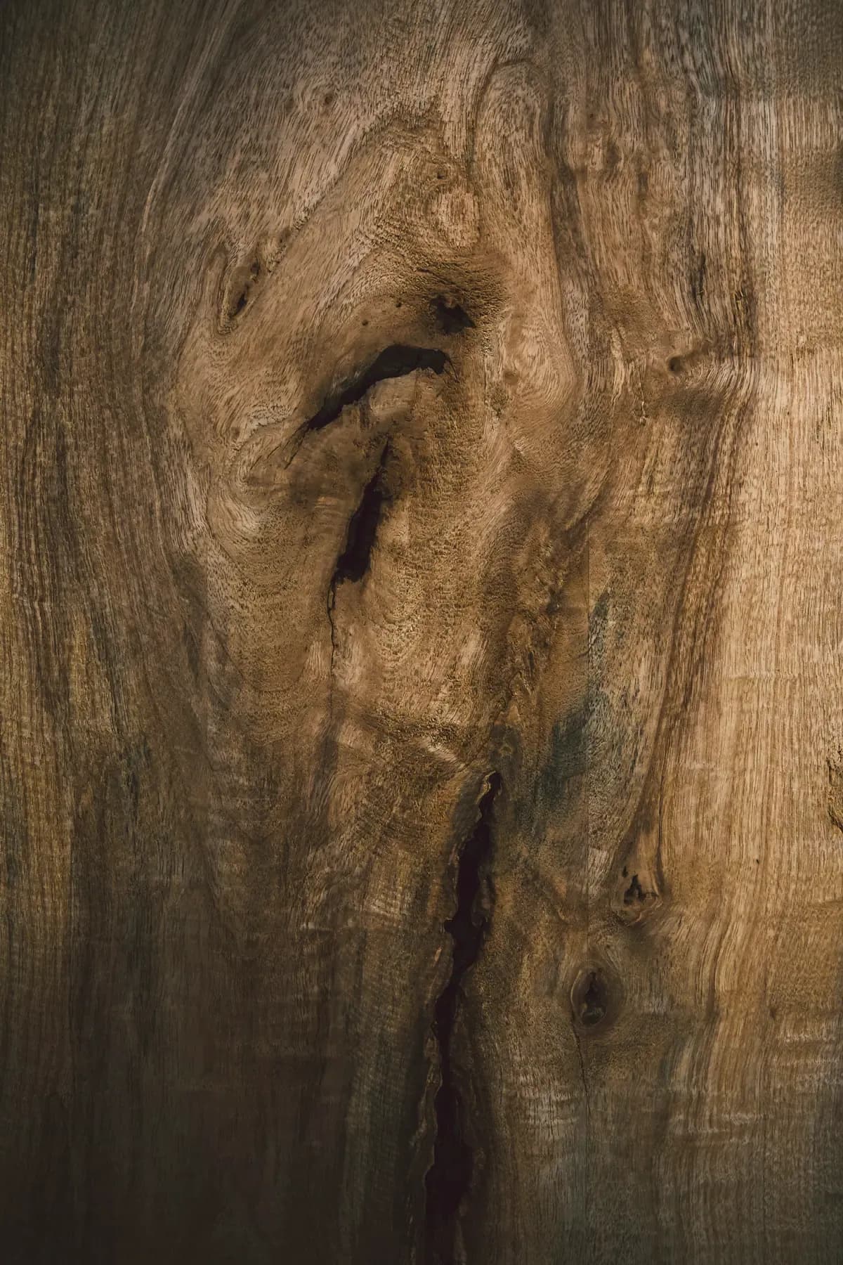 Le venature del noce scuro