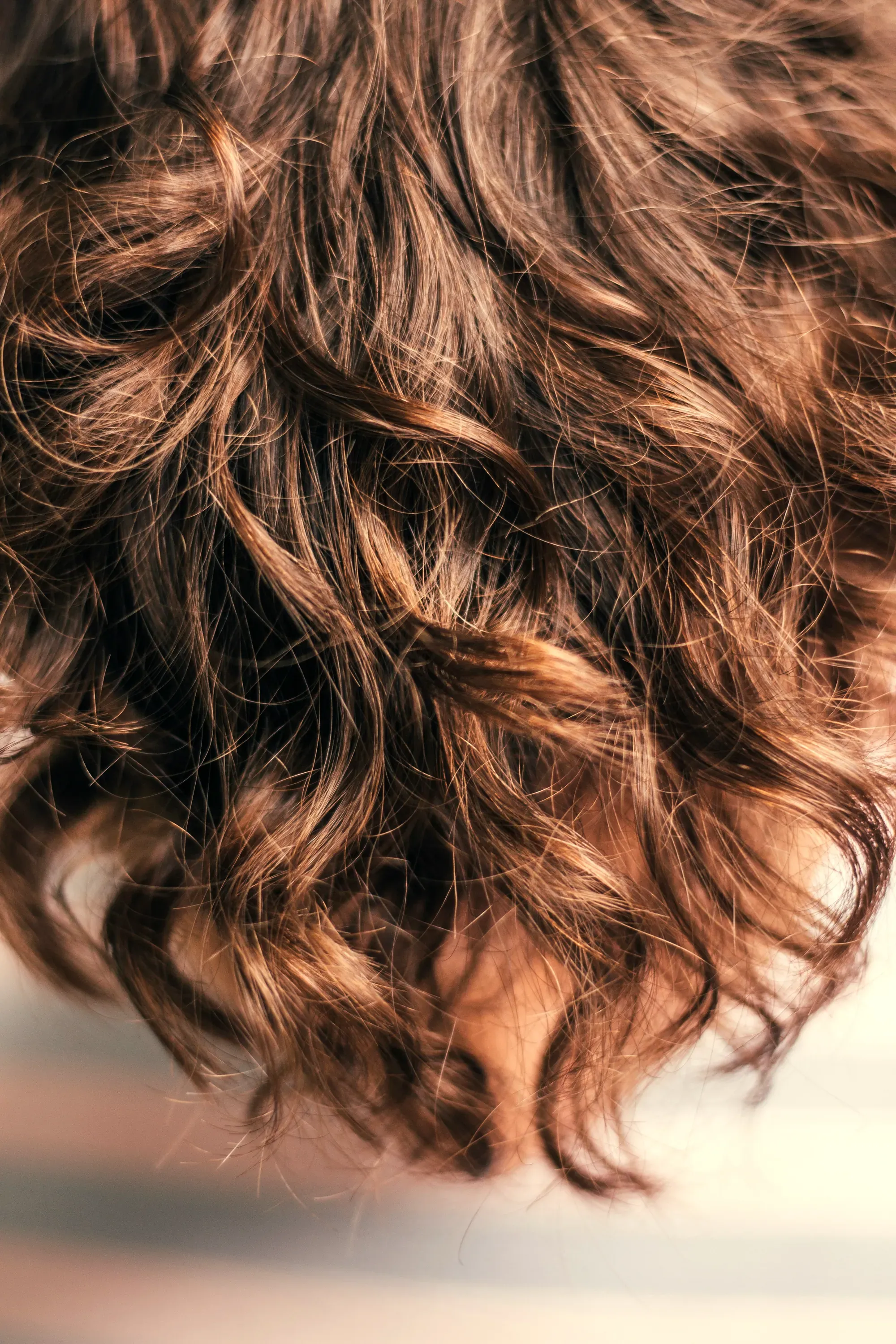 I capelli ricci e scuri, da vicino: la texture